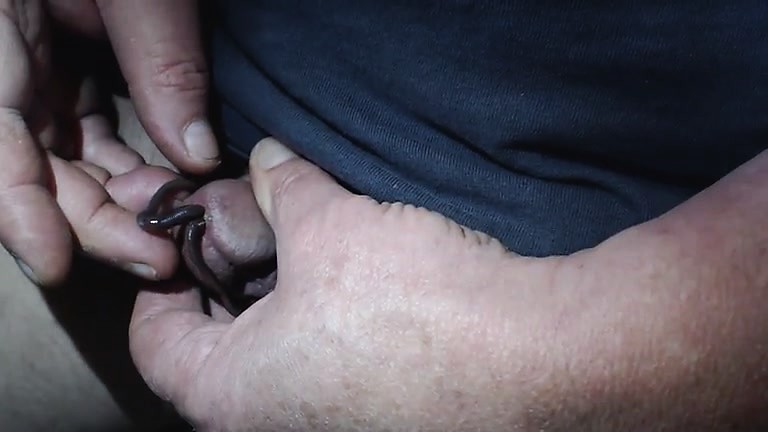 Worm Penis Play - Solo, Masturbation, Gays, Small Cocks Porn Tube & Free Sex Videos - 1742744. VipTube.com