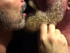 Hairy bears passionate kissing